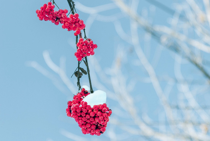 【萊沃醫(yī)療：知識分享】今日小雪，快“藏”好這份健康秘籍！